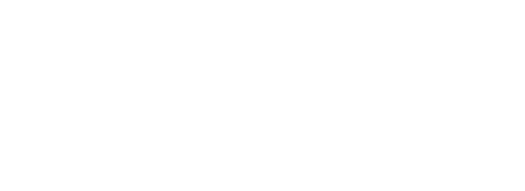 logo at primari pneumatica